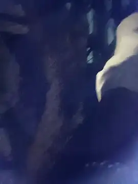 8133vaibhavh online show from 3, 10, 2025