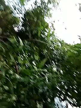 Snapshot of -Xuka-200 chatting on 20, 10, 2025 -Xuka-200 online show from 20, 10, 2025