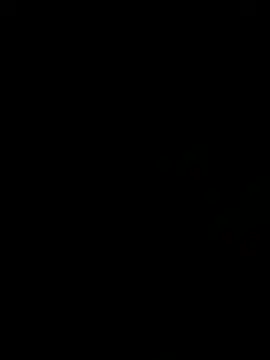 Wild-Nayra online show from 1, 10, 2025