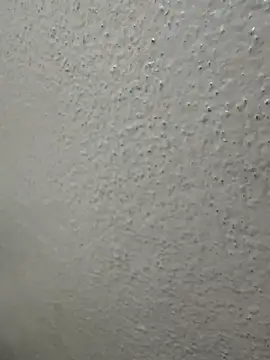 Wild-Nayra online show from 4, 10, 2025