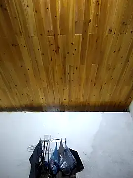 Snapshot of Dung_x chatting on 4, 10, 2025 Dung x online show from 4, 10, 2025