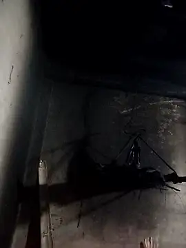 Snapshot of Dung_x chatting on 10, 1, 2026 Dung x online show from 10, 1, 2026