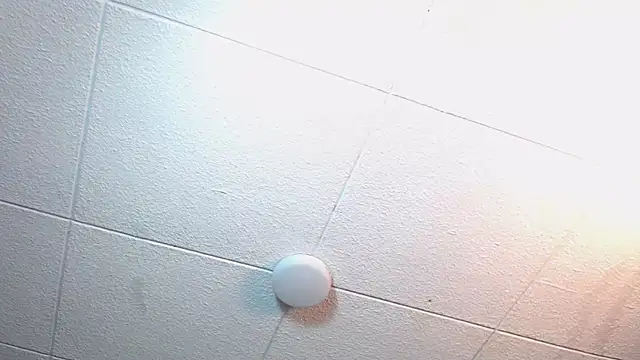 RichardMilleer online show from 12, 11, 2025