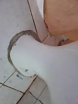 negaa25 online show from 12, 10, 2025