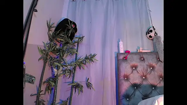 Jamadoll66 online show from 17, 3, 2026