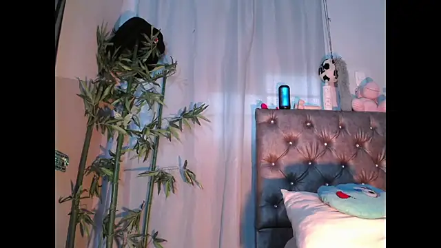 Jamadoll66 online show from 24, 3, 2026