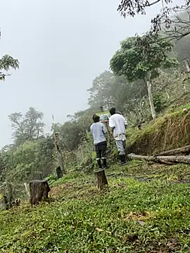 Snapshot of sky-wolves chatting on 11, 10, 2025 sky-wolves online show from 11, 10, 2025