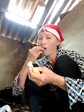 donna-bae online show from 6, 3, 2026