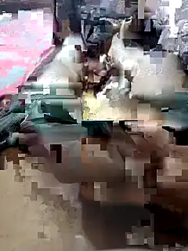 UnbowedAgronomy online show from 14, 2, 2026