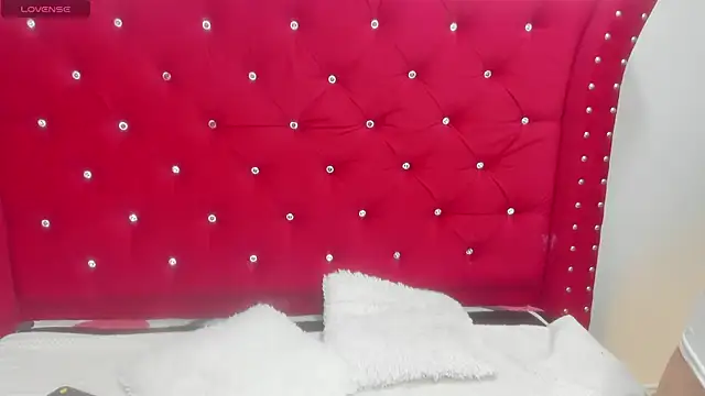 Snapshot of sky-ls chatting on 29, 9, 2025 sky-ls online show from 29, 9, 2025