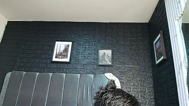 Erick Velveth online show from 10, 1, 2026