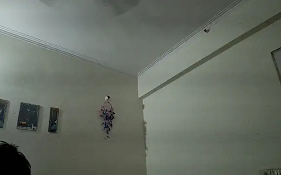 Aasmaan69Aranya online show from 1, 4, 2026