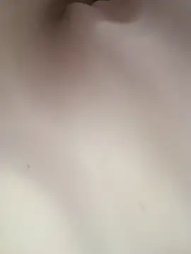 ipvk online show from 3, 4, 2026