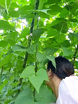 diamond-- online show from 5, 10, 2025