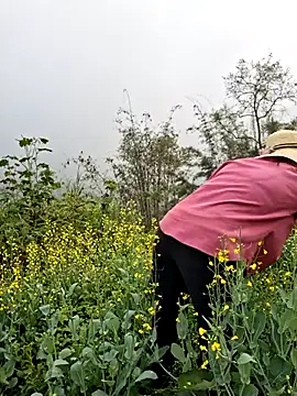 Snapshot of diamond-- chatting on 29, 3, 2026 diamond-- online show from 29, 3, 2026