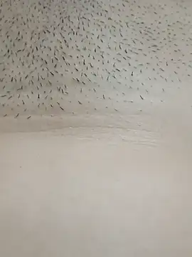 Snapshot of xxSafiraxx chatting on 5, 10, 2025 xxSafiraxx online show from 5, 10, 2025