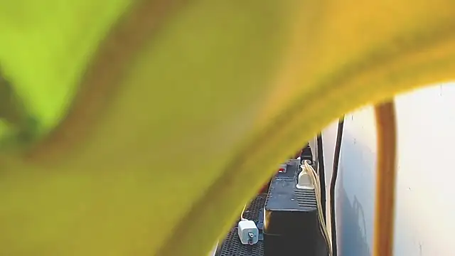 AnySugar online show from 15, 2, 2025