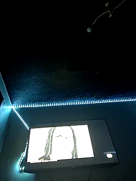 Snapshot of Painstickwes chatting on 5, 2, 2026 Painstickwes online show from 5, 2, 2026