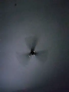 desiyouth94 online show from 1, 4, 2026