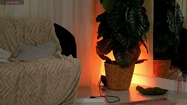 EvaAmanti online show from 11, 1, 2026