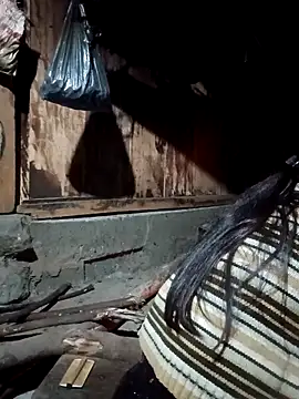 bree-zz online show from 12, 3, 2026