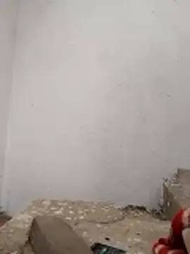 PEEHU-50 online show from 28, 11, 2025