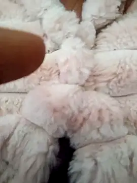 PEEHU-50 online show from 17, 1, 2026