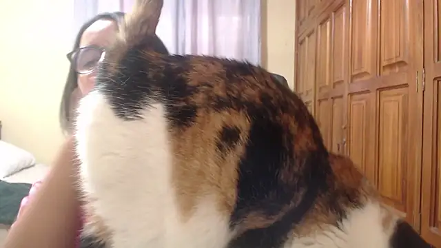 Venus cat  online show from 8, 2, 2026