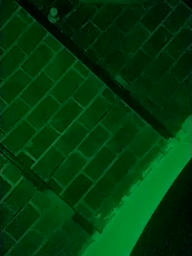 Buddha289 online show from 9, 3, 2026