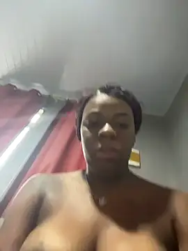 Priihmedeiros online show from 10, 3, 2026