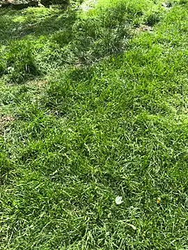 Joshman96 online show from 28, 4, 2026