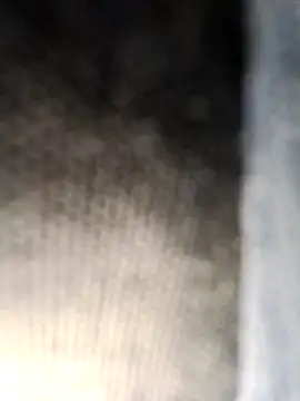 Neilhot98 online show from 8, 3, 2026