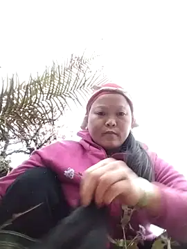 sumaybae online show from 14, 12, 2025