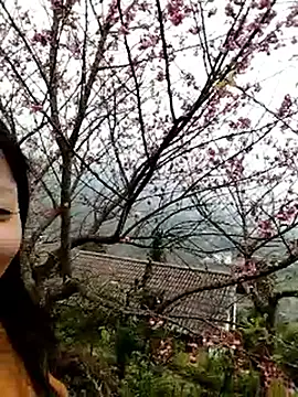 sumaybae online show from 10, 1, 2026