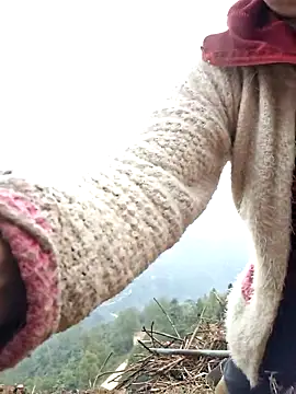 miomio-12 online show from 26, 3, 2026