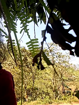 miomio-12 online show from 30, 3, 2026