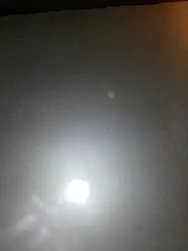 Snapshot of T1T012 chatting on 13, 2, 2026 T1T012 online show from 13, 2, 2026