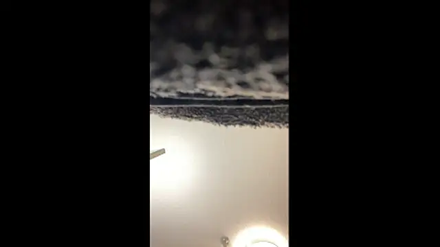 MolleDolle online show from 3, 4, 2026