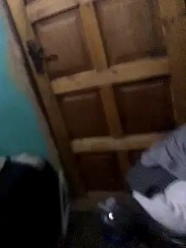 Venusasss online show from 21, 11, 2025