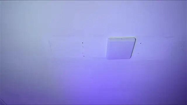 Bayonetta doll online show from 14, 2, 2026