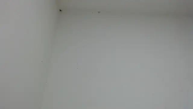 drako monster online show from 17, 1, 2026