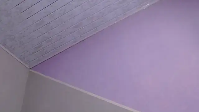 Snapshot of VioletGil_Party_ chatting on 20, 12, 2025 VioletGil Party online show from 20, 12, 2025