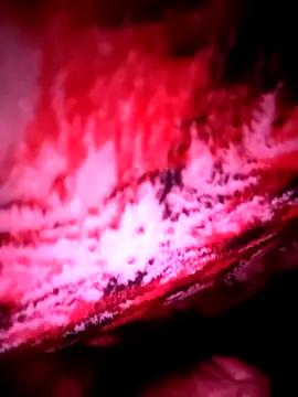 B4ldo25 online show from 21, 11, 2025