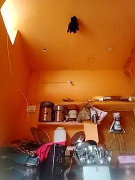 Abhilasha hot34 online show from 21, 12, 2025