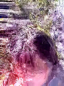 siusiu-00 online show from 18, 1, 2026