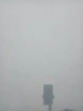 strip queennn online show from 10, 11, 2025