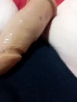 Taradinha pelosogro online show from 10, 3, 2026