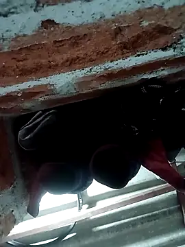 Rajni chauhan online show from 5, 11, 2025