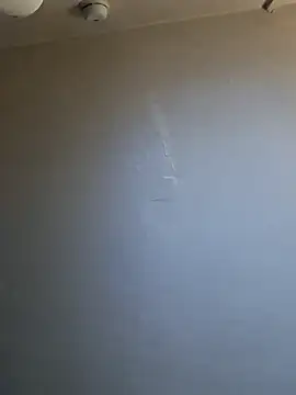 inked rayray online show from 29, 3, 2026