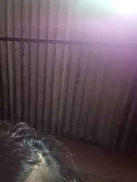 M-MAYA online show from 2, 12, 2025